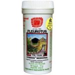 Cosmos Pleurotus 60 kapslí – Hledejceny.cz