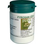 Jukl Fyrosan Cévy 100 kapslí – Hledejceny.cz