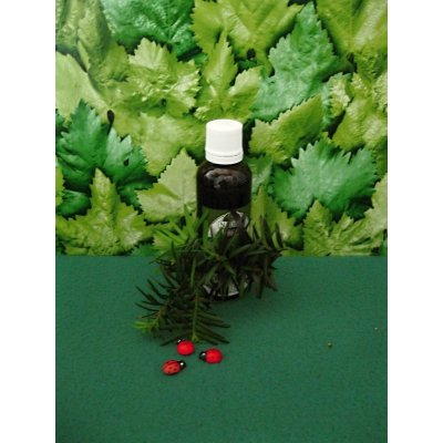 Schizandra Klanopraška bylinná tinktura 50 ml – Zbozi.Blesk.cz