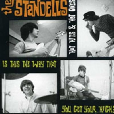 Hot Hits & Hot Ones - The Standells CD