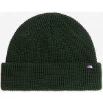 The North Face Čepice Fisherman Beanie bottle green – Hledejceny.cz