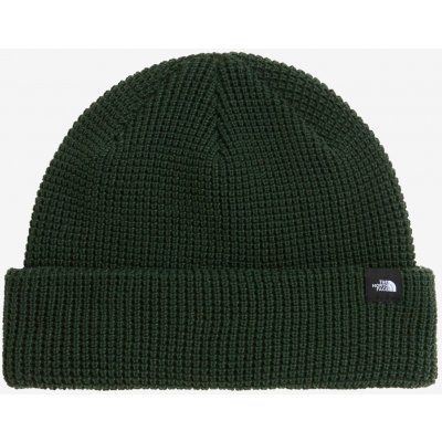 The North Face Čepice Fisherman Beanie bottle green – Hledejceny.cz