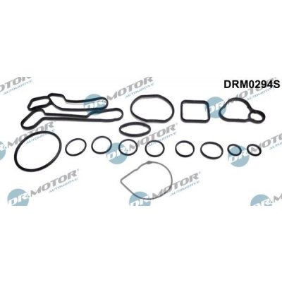 Sada těsnění, chladič oleje Dr.Motor Automotive DRM0294S – Zbozi.Blesk.cz