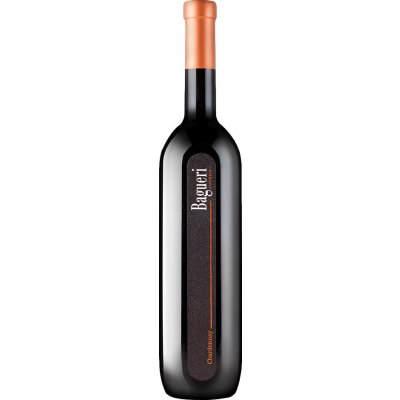 Klet Brda Bagueri Chardonnay Bílé 2019 13,5% 0,75 l (holá láhev)
