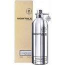 Parfém Montale Fougeres Marine parfémovaná voda unisex 100 ml