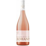 Johann W Třebívlice Pinot Noir Rosé České zemské víno 13% 0,75 l (holá láhev) – Hledejceny.cz