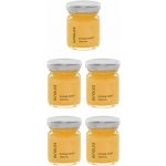 Gingles Ginger shot original 5 × 50 ml – Zboží Mobilmania