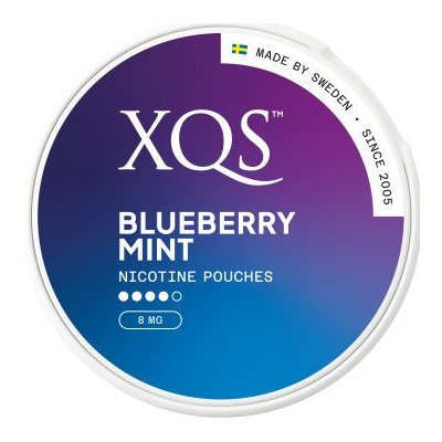 XQS BLUEBERRY MINT – Zboží Dáma