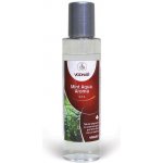 Vodnář Aroma Mint Aqua 125 ml – HobbyKompas.cz