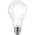Philips LED žárovka LED A67 E27 13W = 120W 2000lm Studená bílá 6500K – Zboží Živě