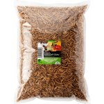 UGF sušený moučný červ 1 kg – Sleviste.cz