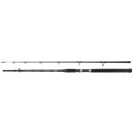 Spro SALTIX 250 2,4 m 100-250 g 2 díly – Hledejceny.cz