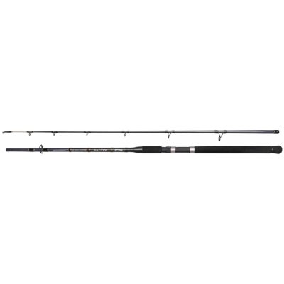Spro SALTIX 250 2,4 m 100-250 g 2 díly – Hledejceny.cz