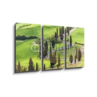 Obraz 3D třídílný - 90 x 50 cm - Road with curves and cypresses in Tuscany, Italy Silnice s křivkami a cypřišky v Toskánsku, Itálie