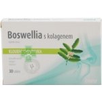Favea Boswellia s chondroitinem a kolagenem 30 tablet – Hledejceny.cz