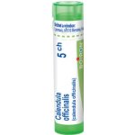 CALENDULA OFFICINALIS POR 5CH GRA 1X4G – Hledejceny.cz