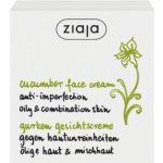 Ziaja okurkový pleťový krém pro mastnou pleť 50 ml – Zboží Dáma