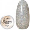 Zdobení nehtů Expa nails třpytky na zdobení nehtů shining chrome glitter 1 2 g