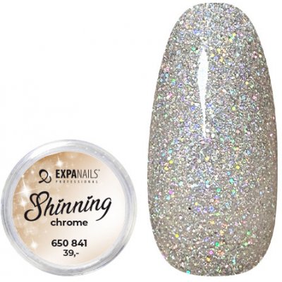 Expa nails třpytky na zdobení nehtů shining chrome glitter 1 2 g – Zbozi.Blesk.cz