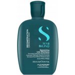 Alfaparf Semi di Lino Hair Shampoo na poškozené 250 ml – Sleviste.cz