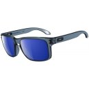 Oakley HOLBROOK OO9102 47