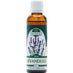 Naděje Levandule tinktura z pupenů P71 50 ml – Hledejceny.cz