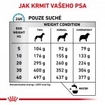 Royal Canin Veterinary Health Nutrition Anallergenic Dog 8 kg – Hledejceny.cz