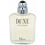 Christian Dior Dune toaletní voda pánská 100 ml – Zboží Mobilmania