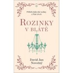 Rozinky v blátě - Dva tucty střepů – Hledejceny.cz