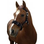 Covalliero Lonžovací ohlávka – Hledejceny.cz