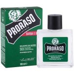 Proraso Eukalyptus balzám na vousy 100 ml – Zboží Dáma