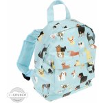 Rex London Výstavní psi – Zboží Dáma