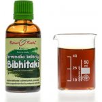 Bylinné kapky Terminalia belerica Bibhitaki Vibhítakí bylinné kapky tinktura 50 ml – Hledejceny.cz
