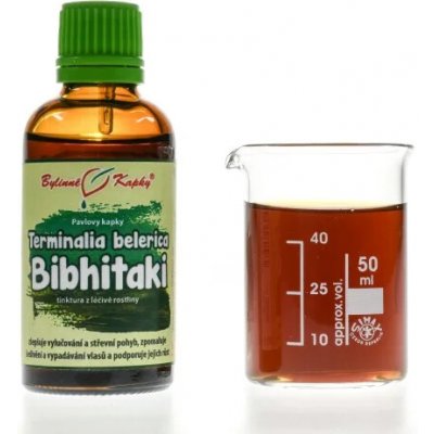 Bylinné kapky Terminalia belerica Bibhitaki Vibhítakí bylinné kapky tinktura 50 ml – Hledejceny.cz