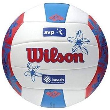 Wilson AVP Hawaii