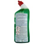 PRATIC GEL WC DISINCROSTANTE 750 ml – Zboží Dáma