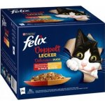 Felix Fantastic Lahodný výběr v želé 24 x 85 g – Hledejceny.cz