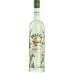 Beluga Adriatic Botanicals Cucumber and Mint 30% 0,7 l (holá láhev) – Sleviste.cz