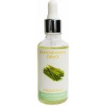 CF Group saunová esence lemongrass 500 ml – Hledejceny.cz
