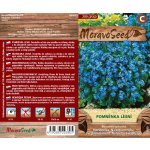 MORAVOSEED Pomněnka lesní modrá – Hledejceny.cz