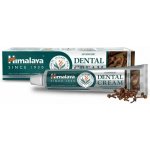Himalaya Ayurvedic Dental Cream s hřebíčkovým olejem 100 g – Hledejceny.cz