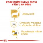 Royal Canin Maltézák Adult 1,5 kg – Hledejceny.cz