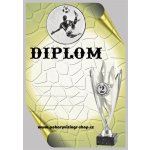 VIZINGR Nohejbal diplom A4 č.18 – Zboží Dáma