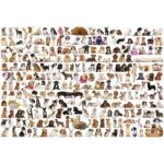 EuroGraphics Svět psů 1000 dílků – Zboží Mobilmania