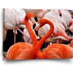 Sablio Obraz Plameňáci 2 - 120x80 cm – Hledejceny.cz