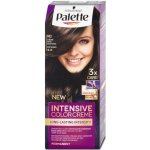 Pallete Intensive Color Creme středně hnědá N3 – Zbozi.Blesk.cz