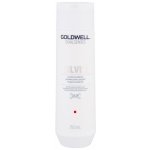 Goldwell DS Silver Šampon pro blond a šedivé vlasy 250 ml – Zboží Dáma