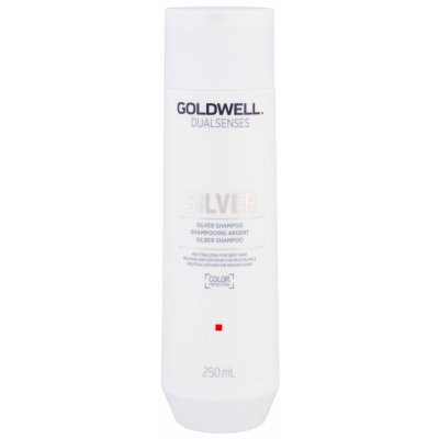 Goldwell DS Silver Šampon pro blond a šedivé vlasy 250 ml – Zboží Mobilmania