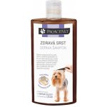 Proactivet Zdravá srst Derma 250 ml – Hledejceny.cz