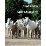 Kladrubáčci - Emilka a kouzlo ročních / Little KLadrubers - Emis Four Magical Seasons - Dalibor Gregor – Hledejceny.cz